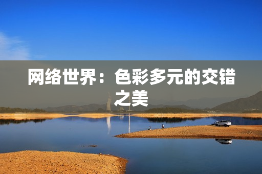 网络世界：色彩多元的交错之美