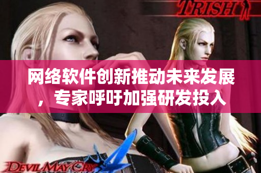 网络软件创新推动未来发展，专家呼吁加强研发投入