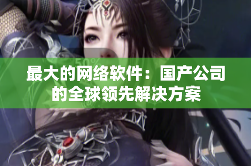 最大的网络软件：国产公司的全球领先解决方案