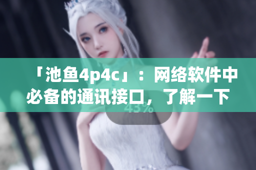 「池鱼4p4c」：网络软件中必备的通讯接口，了解一下！