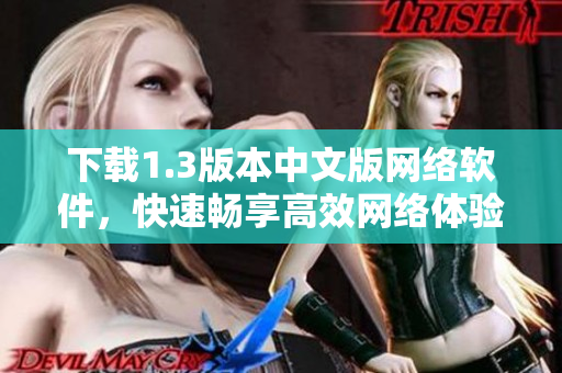 下载1.3版本中文版网络软件，快速畅享高效网络体验！