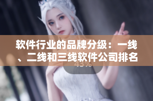 软件行业的品牌分级：一线、二线和三线软件公司排名一览