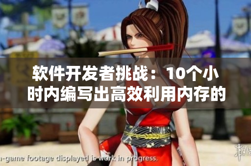 软件开发者挑战：10个小时内编写出高效利用内存的程序