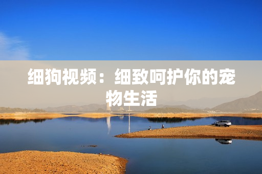 细狗视频：细致呵护你的宠物生活