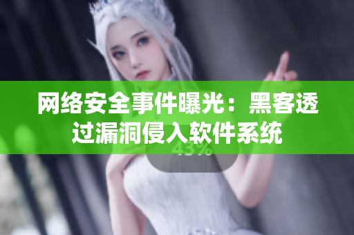 网络安全事件曝光：黑客透过漏洞侵入软件系统