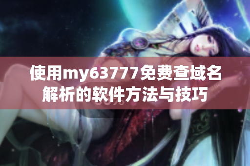 使用my63777免费查域名解析的软件方法与技巧