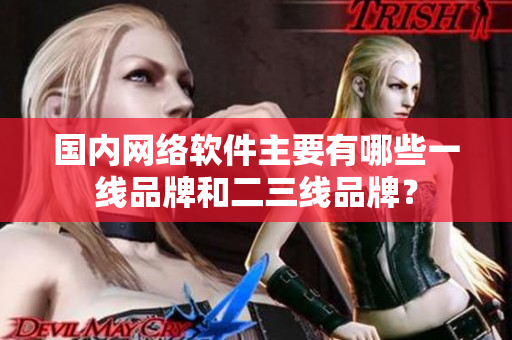 国内网络软件主要有哪些一线品牌和二三线品牌？
