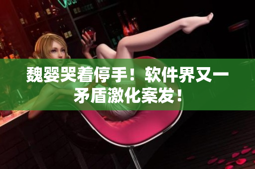 魏婴哭着停手！软件界又一矛盾激化案发！