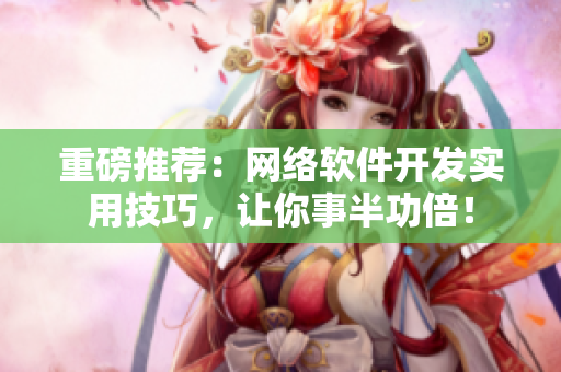 重磅推荐：网络软件开发实用技巧，让你事半功倍！