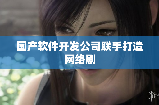 国产软件开发公司联手打造网络剧