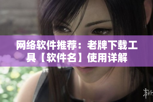 网络软件推荐：老牌下载工具【软件名】使用详解