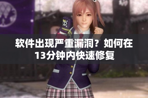 软件出现严重漏洞？如何在13分钟内快速修复