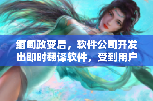 缅甸政变后，软件公司开发出即时翻译软件，受到用户热捧