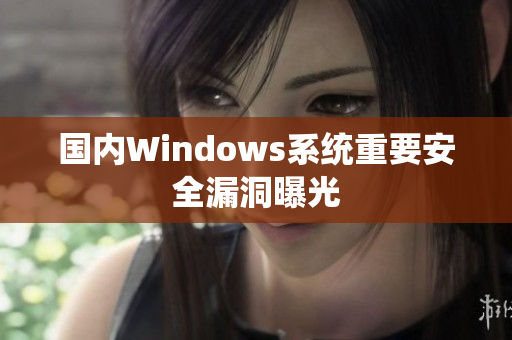 国内Windows系统重要安全漏洞曝光