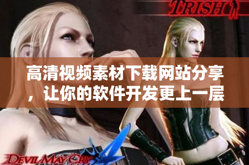 高清视频素材下载网站分享，让你的软件开发更上一层楼