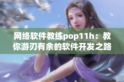 网络软件教练pop11h：教你游刃有余的软件开发之路