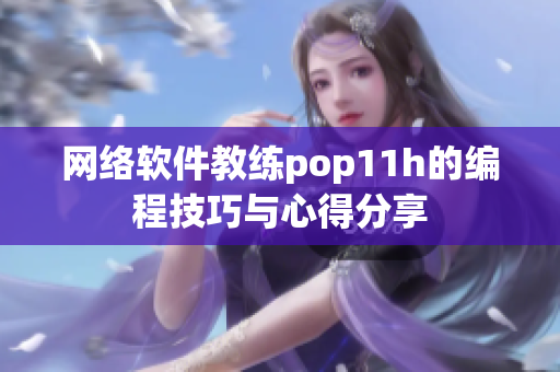 网络软件教练pop11h的编程技巧与心得分享