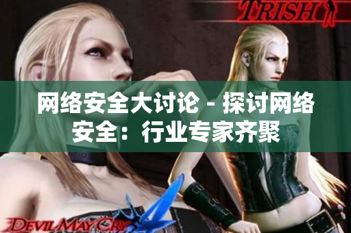 网络安全大讨论 - 探讨网络安全：行业专家齐聚