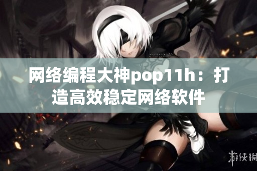 网络编程大神pop11h：打造高效稳定网络软件