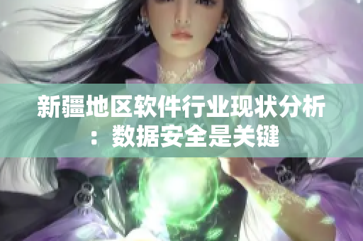 新疆地区软件行业现状分析：数据安全是关键