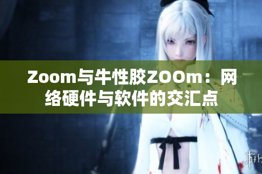 Zoom与牛性胶ZOOm：网络硬件与软件的交汇点