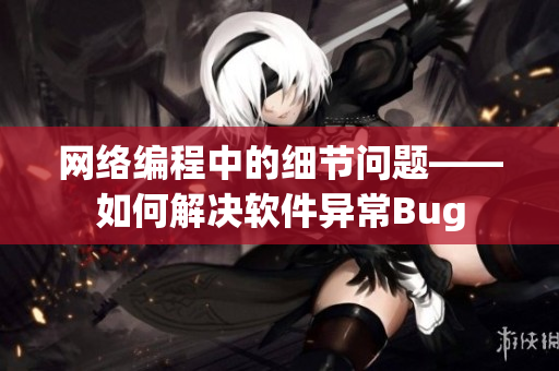 网络编程中的细节问题——如何解决软件异常Bug