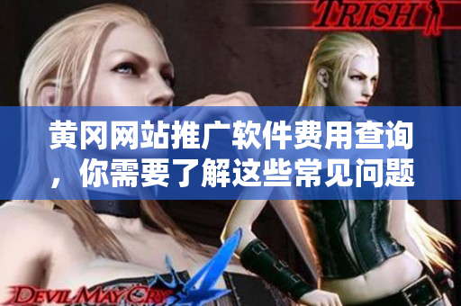 黄冈网站推广软件费用查询，你需要了解这些常见问题