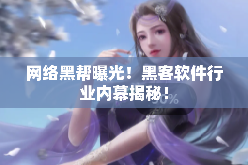 网络黑帮曝光！黑客软件行业内幕揭秘！