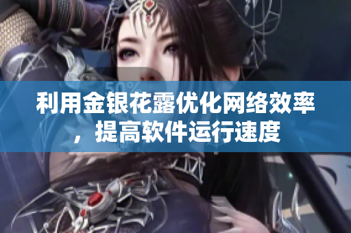 利用金银花露优化网络效率，提高软件运行速度