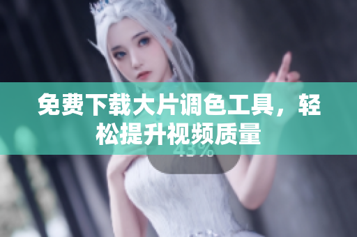 免费下载大片调色工具，轻松提升视频质量