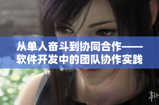 从单人奋斗到协同合作——软件开发中的团队协作实践