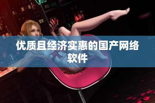 优质且经济实惠的国产网络软件