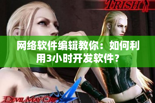 网络软件编辑教你：如何利用3小时开发软件？