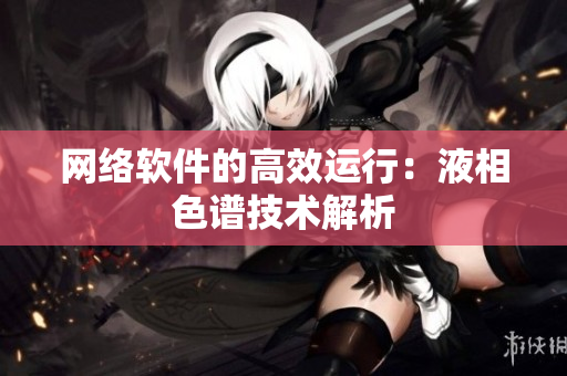 网络软件的高效运行：液相色谱技术解析