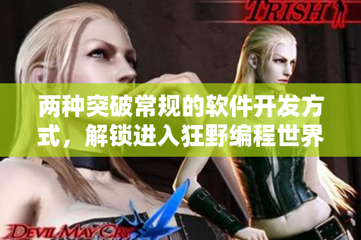 两种突破常规的软件开发方式，解锁进入狂野编程世界的秘诀