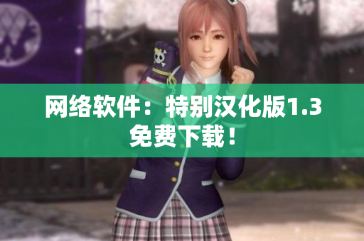 网络软件：特别汉化版1.3免费下载！