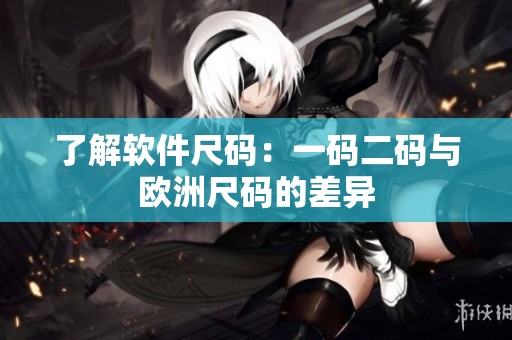 了解软件尺码：一码二码与欧洲尺码的差异