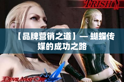 【品牌营销之道】— 蝴蝶传媒的成功之路