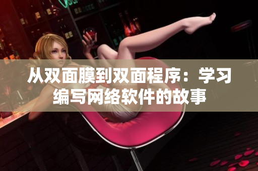 从双面膜到双面程序：学习编写网络软件的故事