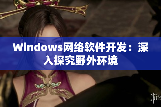 Windows网络软件开发：深入探究野外环境