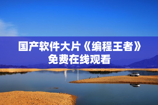 国产软件大片《编程王者》免费在线观看
