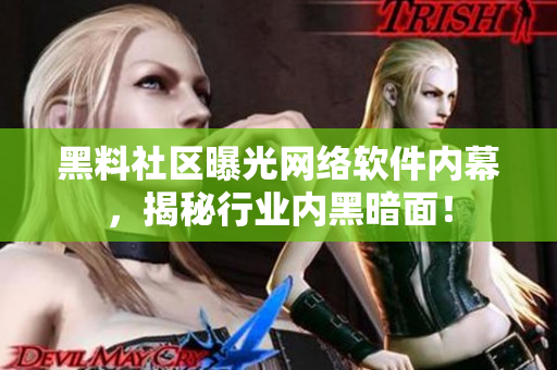 黑料社区曝光网络软件内幕，揭秘行业内黑暗面！