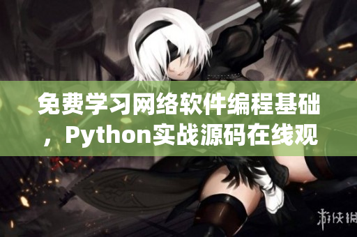 免费学习网络软件编程基础，Python实战源码在线观看