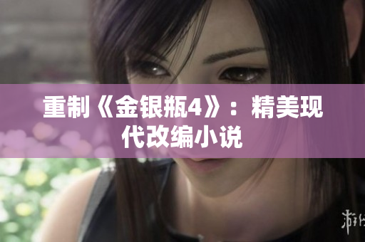 重制《金银瓶4》：精美现代改编小说