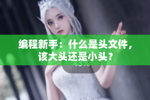 编程新手：什么是头文件，该大头还是小头？