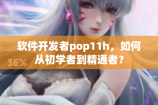 软件开发者pop11h，如何从初学者到精通者？
