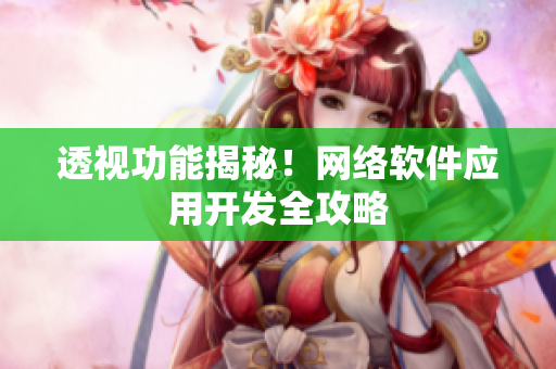 透视功能揭秘！网络软件应用开发全攻略