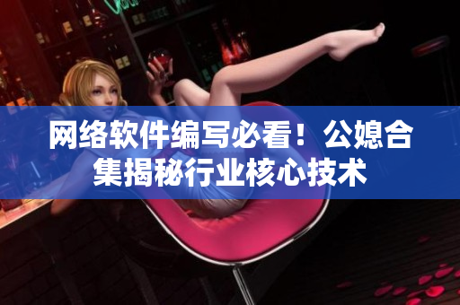 网络软件编写必看！公媳合集揭秘行业核心技术