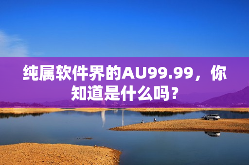 纯属软件界的AU99.99，你知道是什么吗？