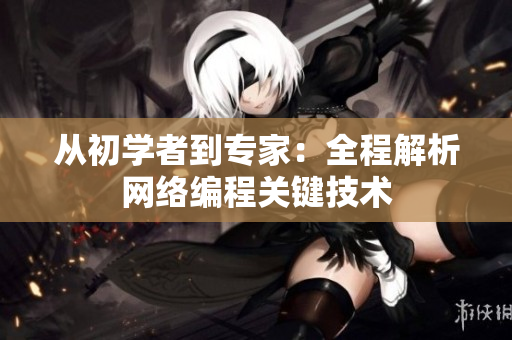 从初学者到专家：全程解析网络编程关键技术